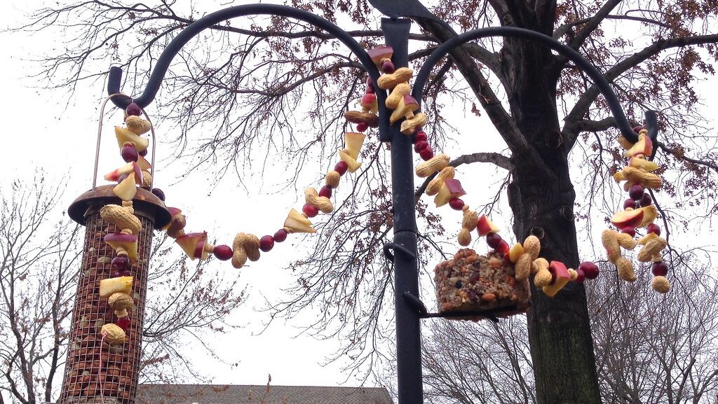 Colorful bird feeder garland hanging from a metal pole