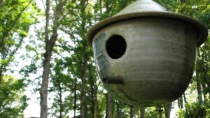 Clay pot bird nest hanging in a forest
