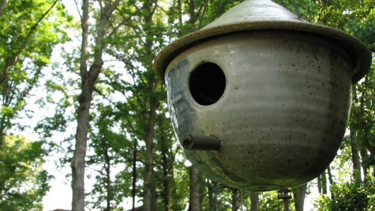 Clay pot bird nest hanging in a forest