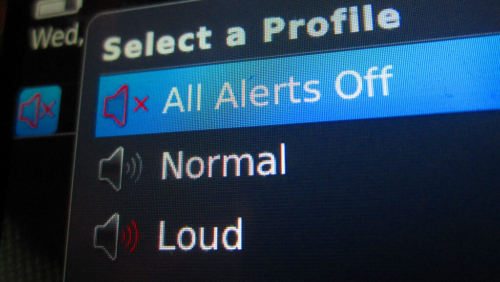 Silent mode symbol on device settings screen