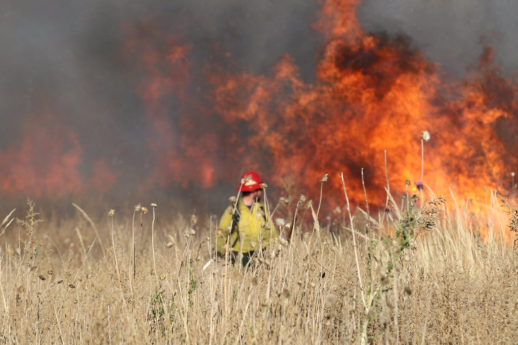 A person in a helmet stands amidst dry grass as large flames and smoke engulf the background.