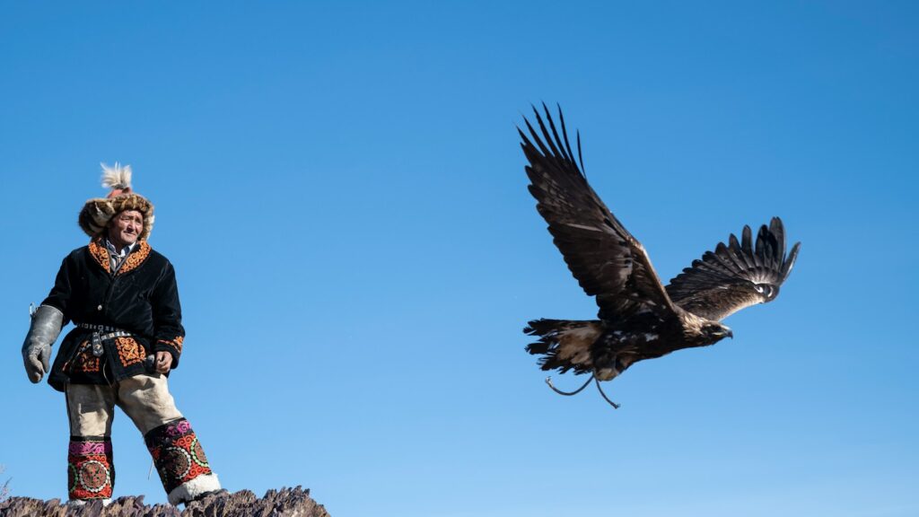 Mongolian hunter watching his Golden Eagle take off