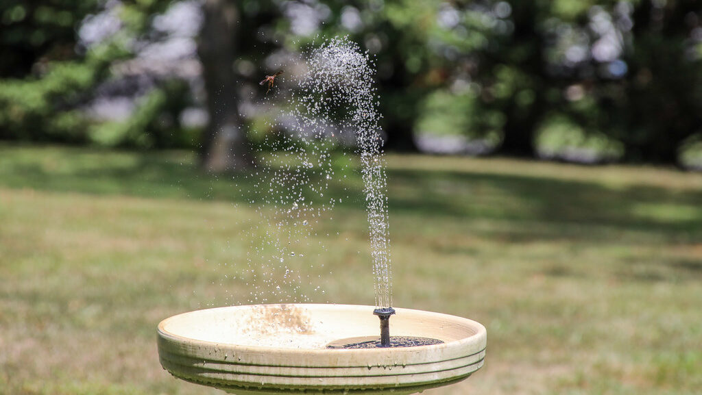 Solar-powered bird bath fountain