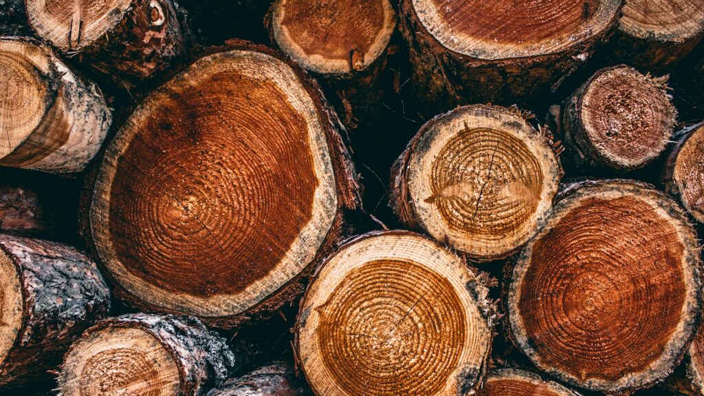 Close-up of stacked timber logs