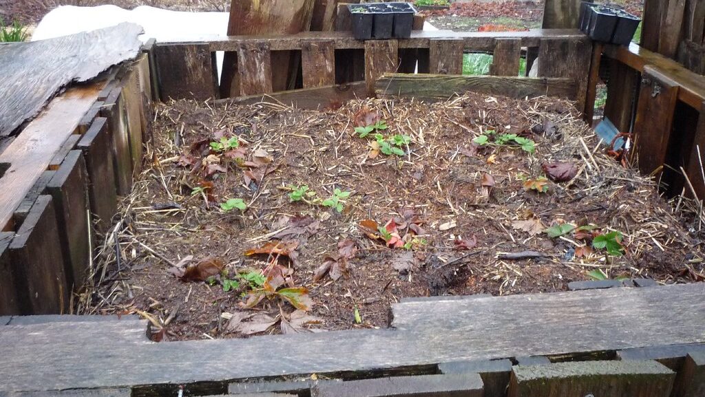 Top view of a backyard compost pile