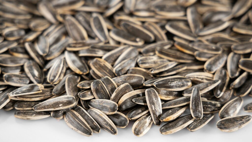 Pile of sunflower seeds on white surface