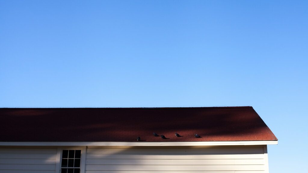 Residential roof with birds perched along the ridge