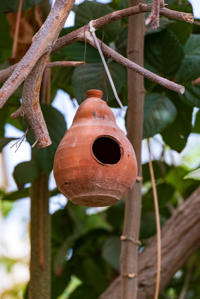 A claypot bird house hanging from a tree branch
