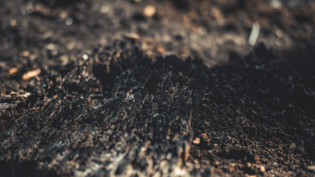 Close-up photo of soil