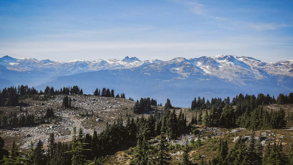 Alpine meadows on Mount Sproatt