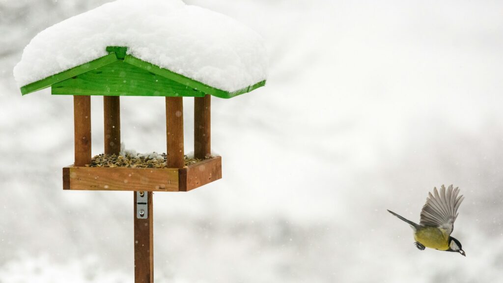 Bird flying away from bird feeder with roof covered in snow during winter