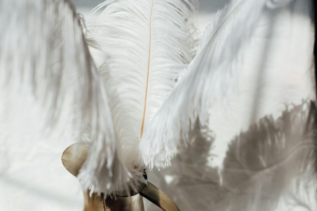 A close-up view of numerous soft, fluffy white feathers.