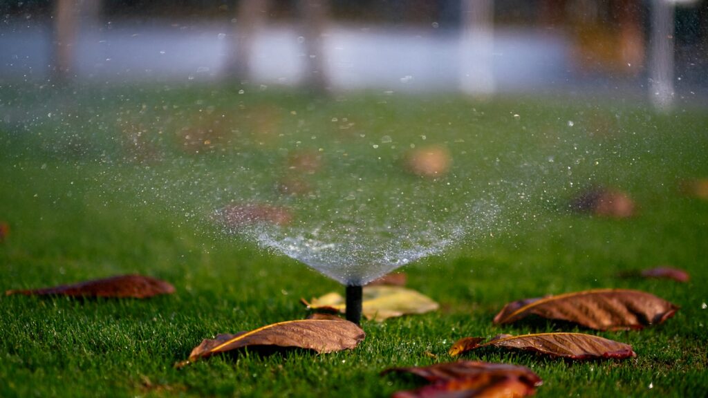 Garden sprinkler spraying water upward