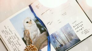 Photo of an owl clipped inside a personal journal
