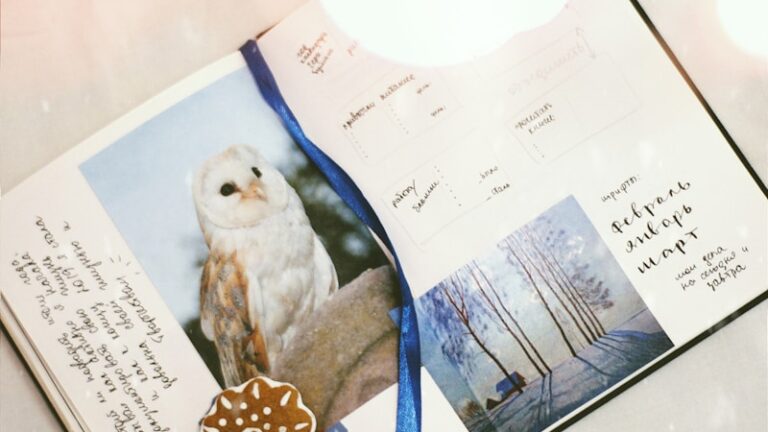 Photo of an owl clipped inside a personal journal