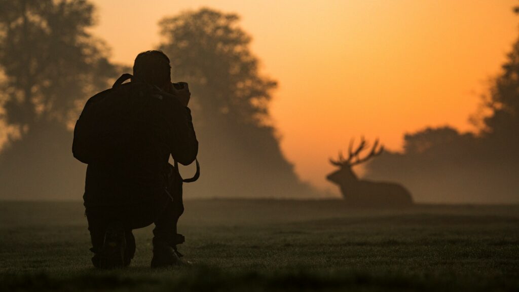 Wildlife photographer crouching in grassy field capturing photo