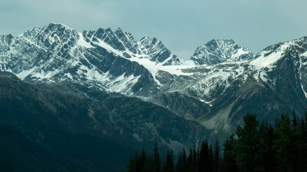 Snowy mountain peaks and evergreen trees at Rogers Pass, Columbia-Shuswap