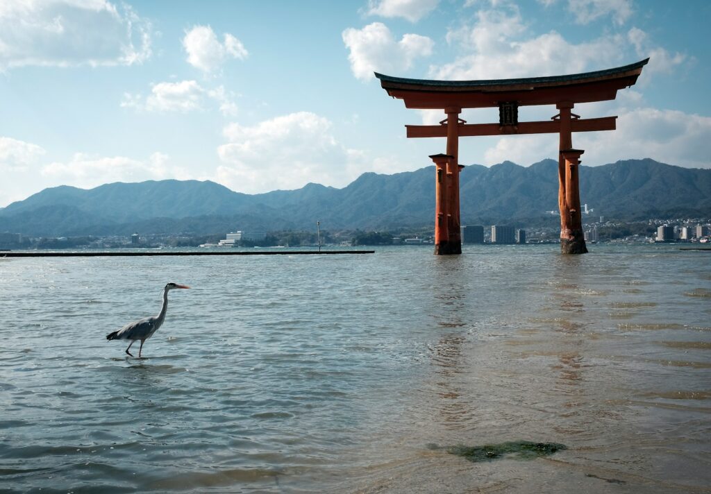 A gray heron wades in calm water near a large orange torii gate.