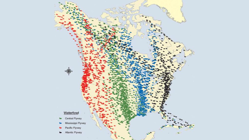 Why You Should Pay Attention to - 29995934172 5780c5355b O 1024x577 