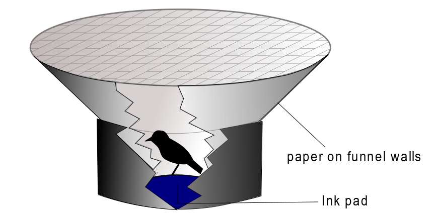 Emlen Funnel Illustration